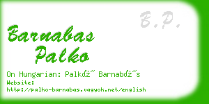 barnabas palko business card